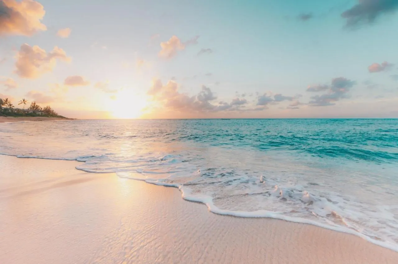 5Star Luxury Condo-Cenote And Infinity Pool-New Tulum Appartement