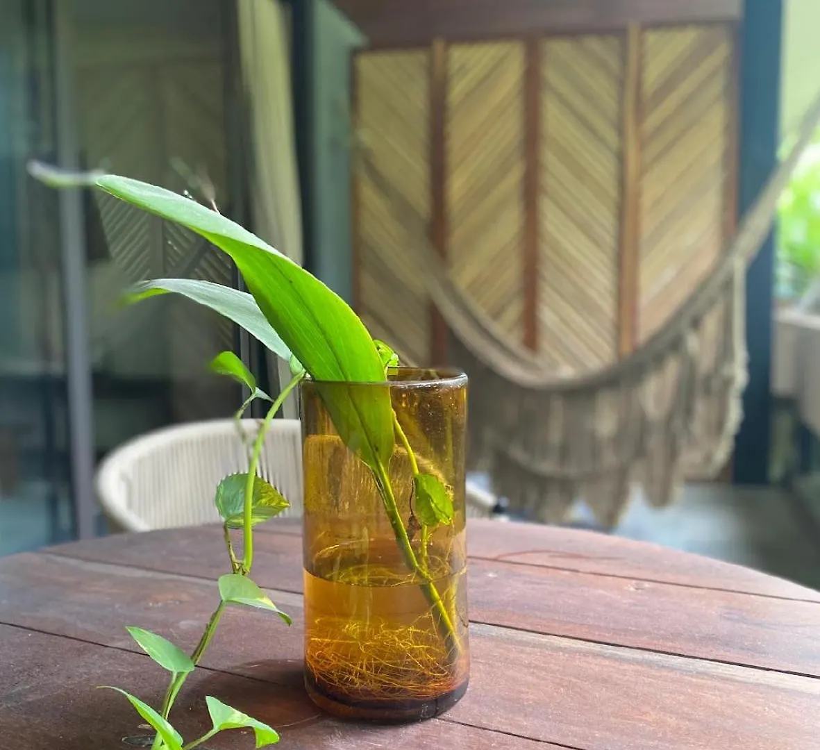 5Star Luxury Condo-Cenote And Infinity Pool-New Tulum Apartment